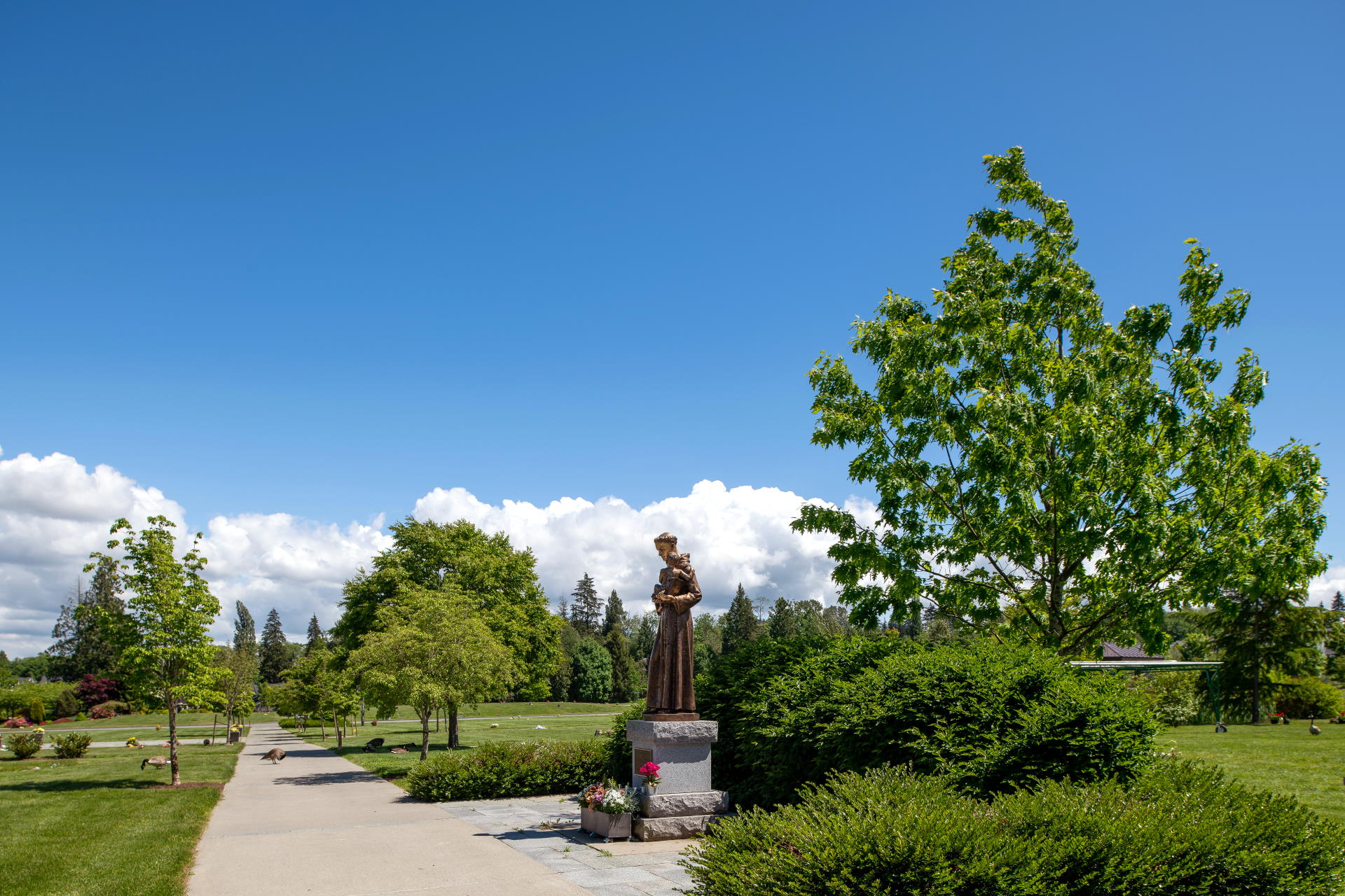 Gardens of Gethsemani - Gardens of Gethsemani